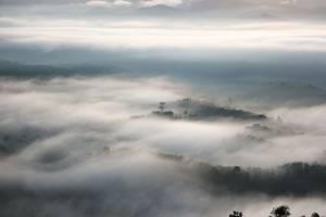 BIB: 
                            <button type="button" onclick="openModal(21900091)" class="btn btn-primary btn-sm float-right btn-popup" data-toggle="modal" data-target=".modal-high-quality">
                        <i class="fas fa-shopping-cart"></i> Add to Cart
                    </button>
                                            <button type="button" onclick="isThisMe(21900091, true)" class="btn btn-success btn-sm float-right btn-popup btn-isme hidden" data-toggle="tooltip" data-placement="bottom" title="นี่คือรูปของคุณใช่ไหม คลิกที่นี่เพื่อเอาเข้าอัลบั้ม">
                        <i class="fas fa-plus"></i> Add to album
                    </button>
                    <button type="button" onclick="isThisMe(21900091, false)" class="btn btn-warning btn-sm float-right btn-popup btn-isnotme hidden">
                        <i class="fas fa-ban"></i> Remove from album
                    </button>